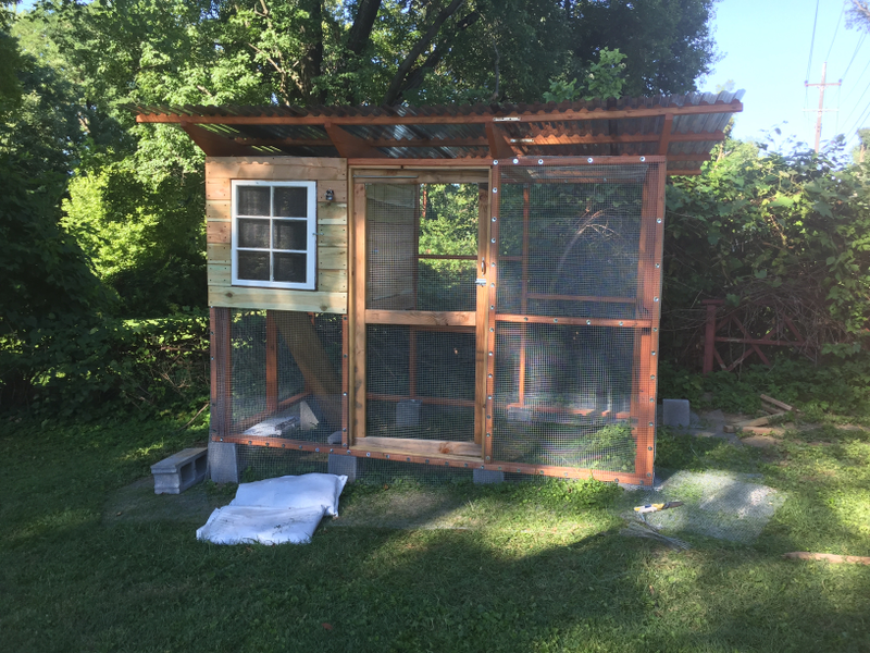 Illustration for article titled Back at it!/Chicken Coop